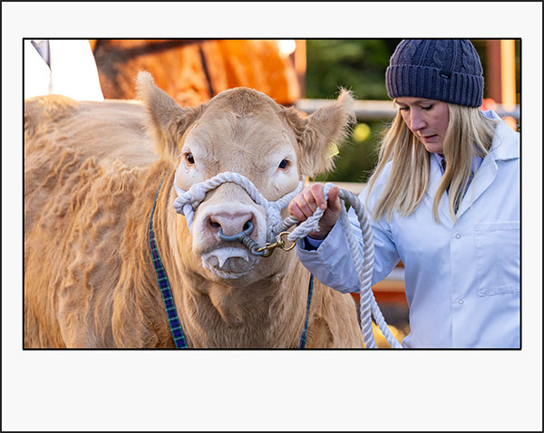 The Uppingham Fatstock Show 2025