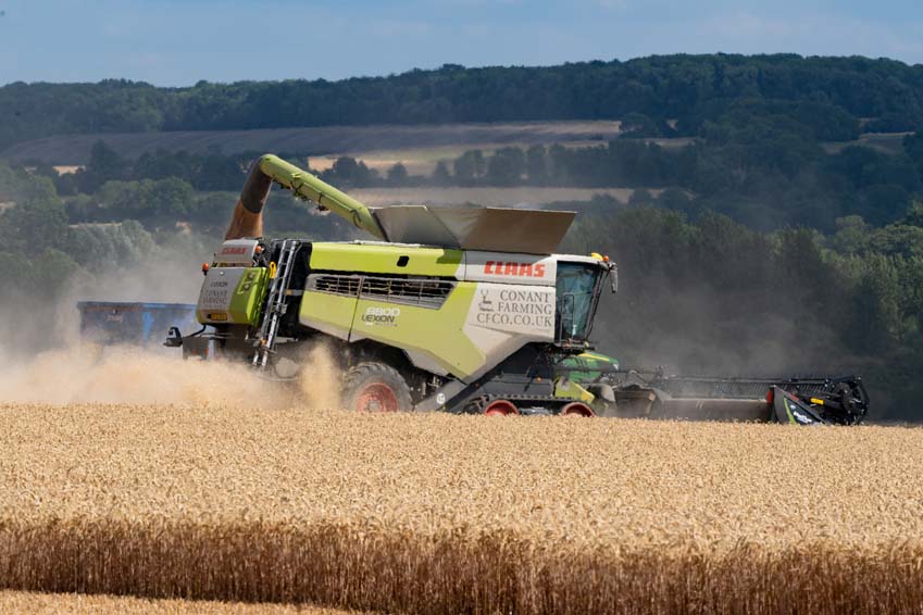 Conant Farming Claas Lexion combining wheat in Rutland