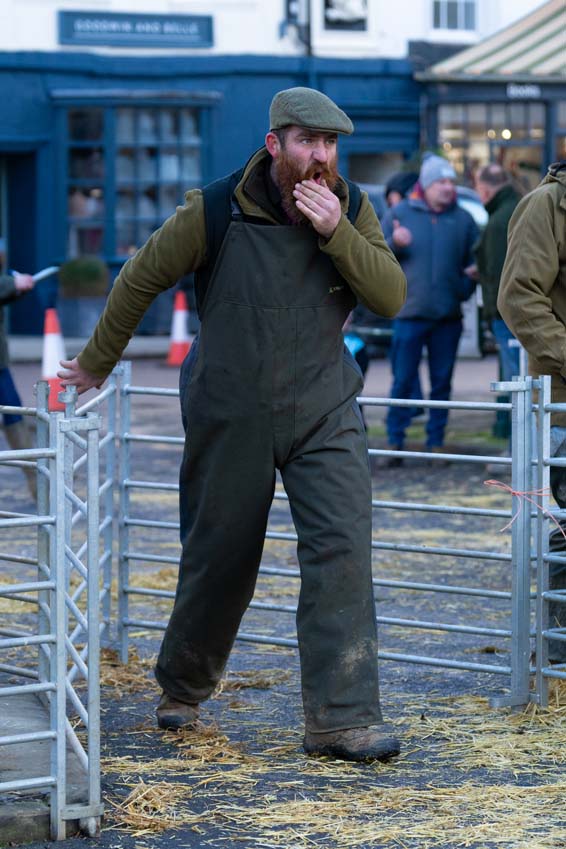 A bearded farmer going about his business at The Uppingham Fatstock Show 2025