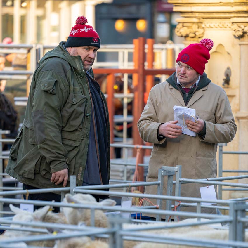 Discussions at the Uppingham Fatstock Show 2025